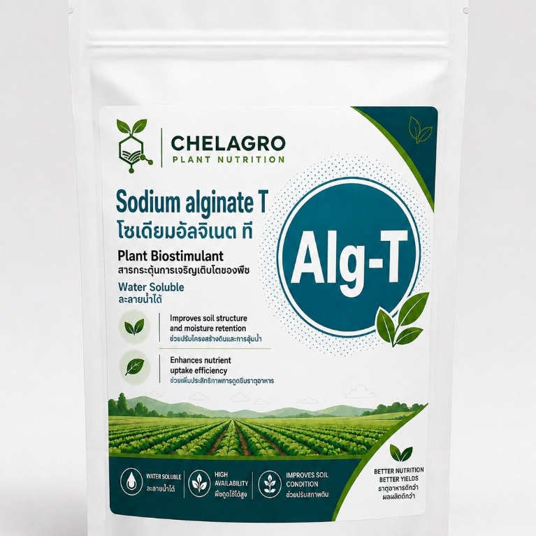 Sodium Alginate T | โซเดียมอัลจิเนต T 100g