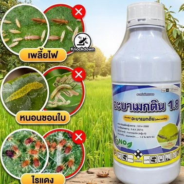 อะบาเมกติน (น้ำใสดำ) ขนาด 1 ลิตร สูตรเย็น สารป้องกันกำจัดแมลง เพลี้ยไฟ ไรแดง หนอนชอนใบ