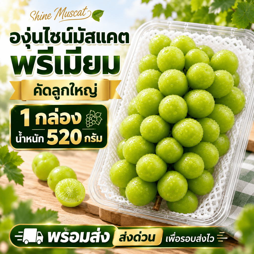 [ส่งด่วน] องุ่นไซมัสคัส (500g) องุ่นไชน์มัสคัต หวานอร่อย เนื้อเยลลี่กรอบ องุ่นเขียวไร้เมล็ด คัดสวยพร้อมทาน