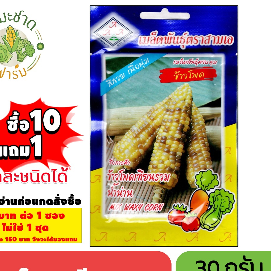 [1ซอง] 3A (ซื้อ10แถม1) เมล็ดพันธุ์ ข้าวโพดเทียนรวม ขนาด30กรัม ประมาณ100เมล็ด WAXY CORN ข้าวโพดข้าวเหนียว เมล็ดพันธุ์พืช