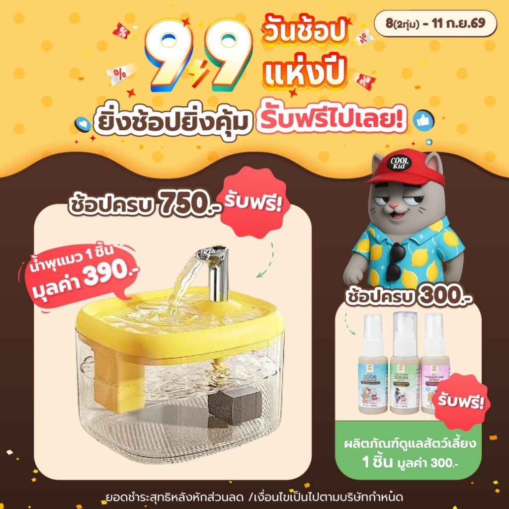 [ของแถม] ช่วง คมเปญเท่านั้น น้ำพุแมว