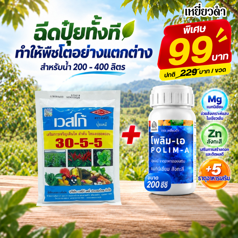 ปุ๋ยเกล็ด เวสโก้ สูตร ปุ๋ย 30-5-5 บำรุงต้น ใบ แตกยอดเร็ว ต้นสมบูรณ์โตไว ปุ๋ย 1 กิโลกรัม