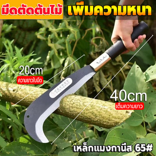 มีดพร้าเบตง คมจัด พร้อมด้ามไม้ แข็งแรง ทนทาน เหล็กกล้าคุณภาพสูง ตัดไม้ ฟันกิ่งไม้ ถางหญ้า ใช้งานอเนกประสงค์