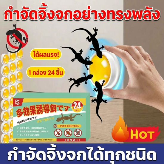 กำจัดตุ๊กแกหมดจด！NANA ยาฆ่าจิ้งจก ยาไล่ตุ๊กแก ไล่จิ้งจก ตุ๊กแก เหมาะกับใช้ในบ้าน 1 กล่อง 24 เม็ด