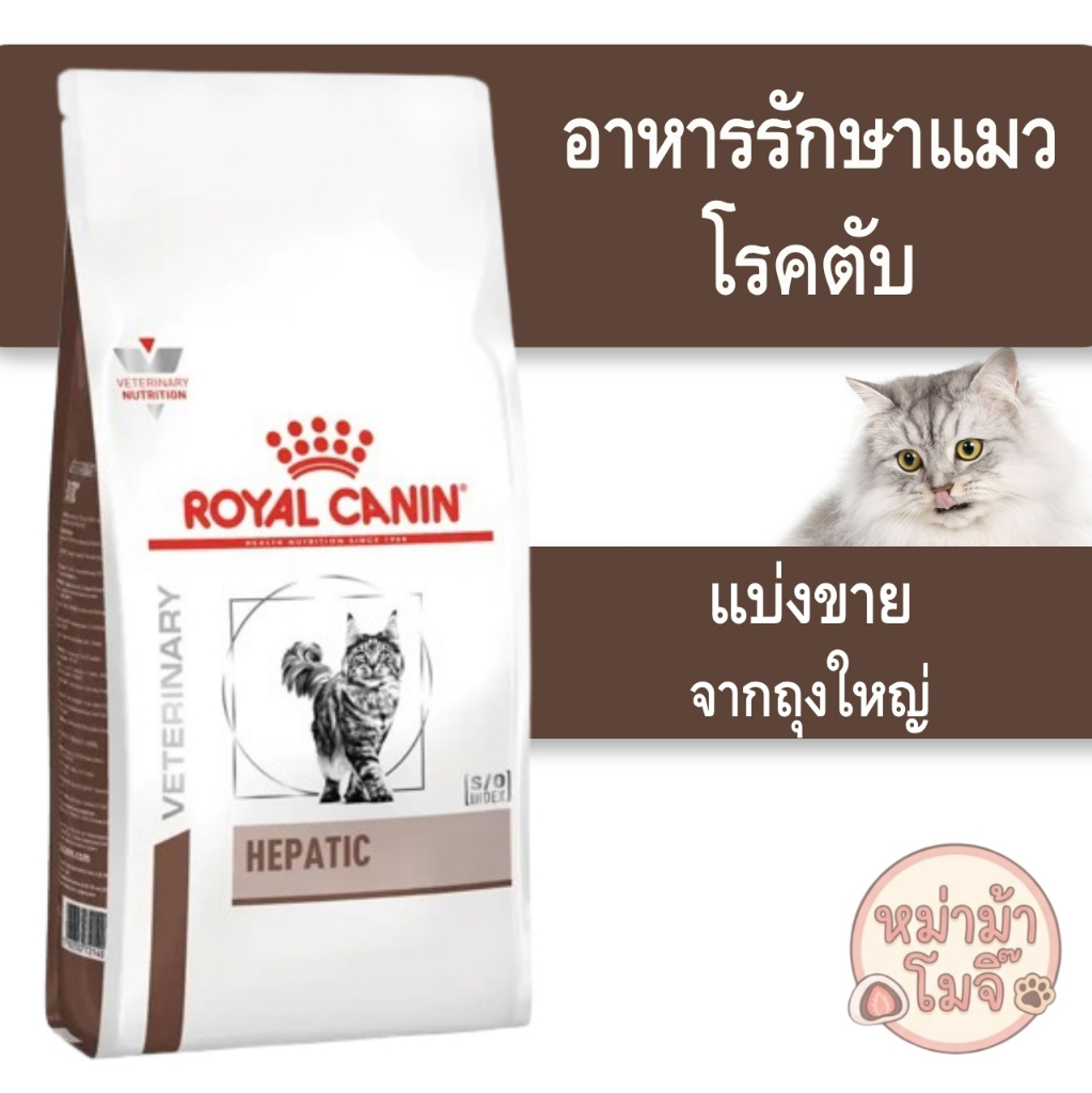 ⚡️[ส่งด่วนทุกวัน⚡️[แมวเป็นตับ][แบ่งขาย]Royal Canin hepatic อาหารเม็ดแมวรักษาโรคตับ และท่อน้ำดีอักเสบ