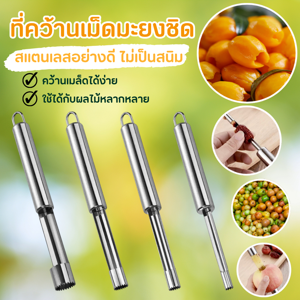 ที่คว้านเม็ดมะยงชิด ที่เจาะแกนผลไม้ เงาะ พุทรา เชอร์รี่ แอปเปิ้ล และอื่นๆ