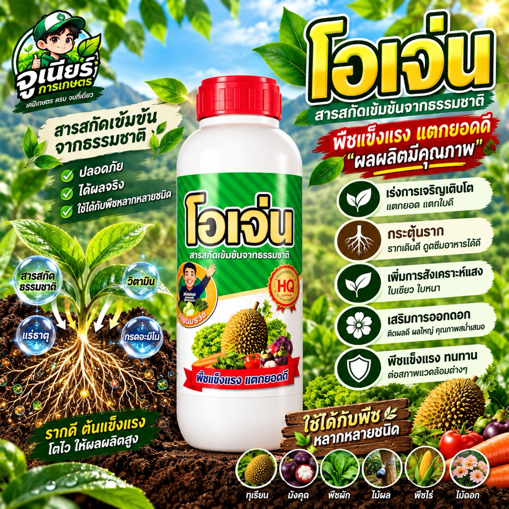 โอเจ่น สาหร่ายเร่งการแตกยอดพืช
