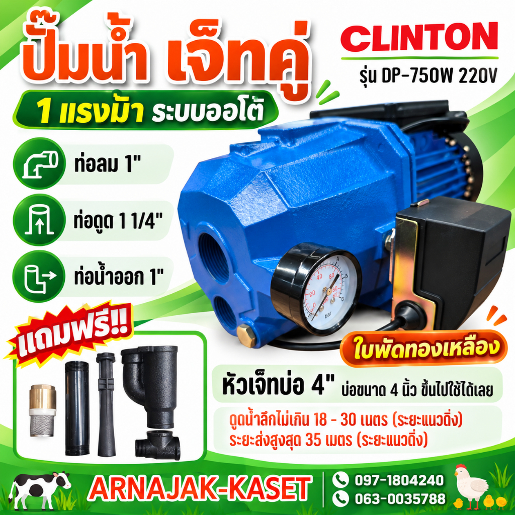 ปั๊มเจ็ท ท่อคู่ระบบออโต้ 1 แรงม้า 750W ดูดลึก 30 เมตร  ปั๊มน้ำ ใบพัดทองเหลืองแท้ CLINTON รุ่น DP750W