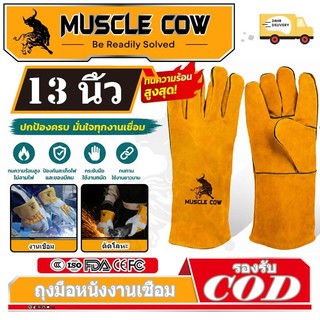 MUSCLE COW ถุงมือหนังงานเชื่อม 10.5" และ13" ทำจากหนังวัวชั้นที่ 2 ทั้งชิ้น เบาและสามารถระบายอากาศได้ดี ถุงมือเชื่อม