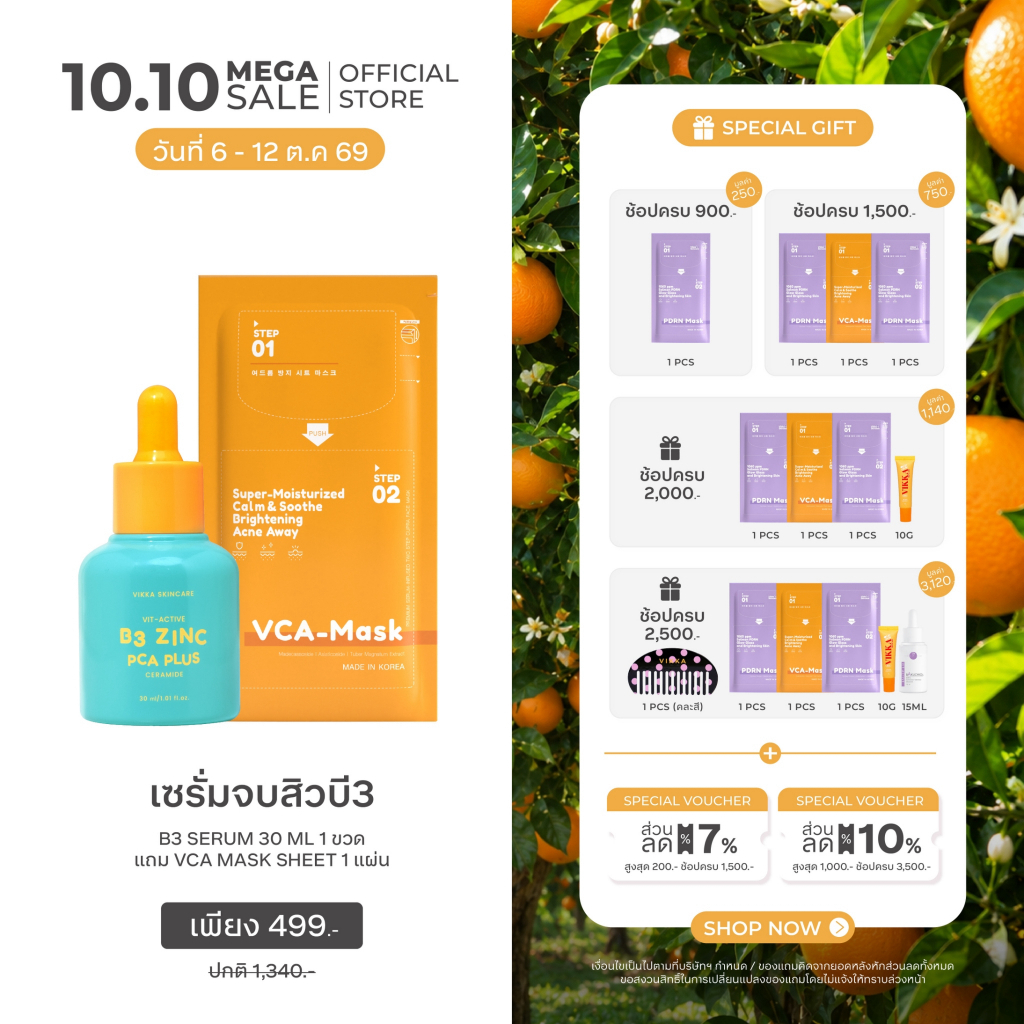 10.10 VIKKASKINCARE Vit-Active B3 niacinamide Zinc PCA  30 m