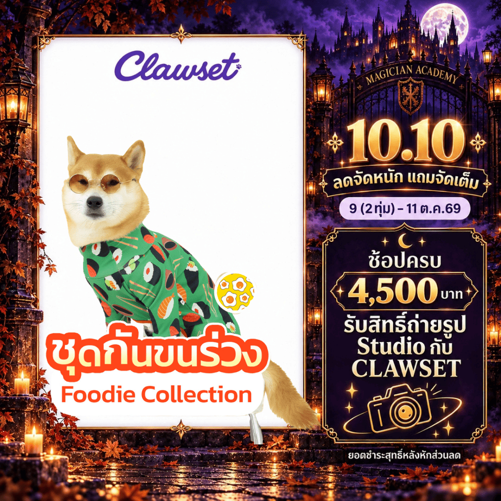 CLAWSET ملابس للحيوانات ضد تساقط الشعر بنقوش طعام — صورة 2