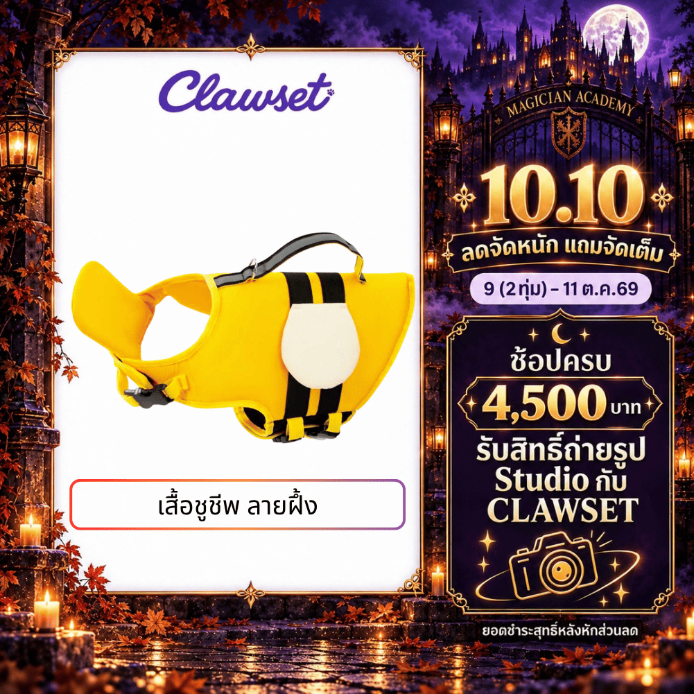 CLAWSET سترة نجاة للكلاب بنقش نحلة — صورة 2