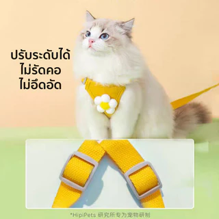 สายจูงหมา-แมว สายรัดอกแมว สามารถปรับระดับได้