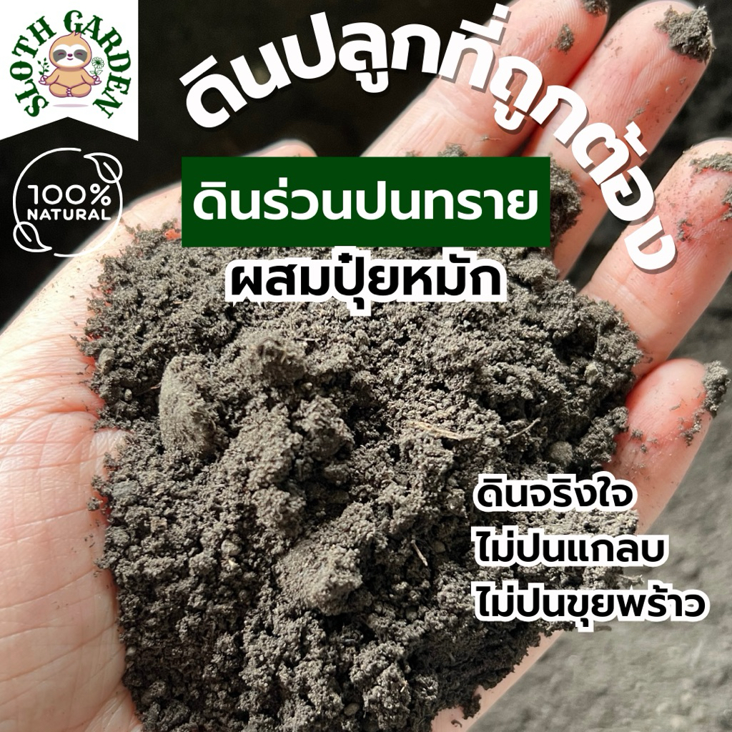[ส่งเร็ว] ดินร่วนปนทราย ผสมปุ๋ยหมัก ปลูกต้นอะไรก็ได้ รากเดินง่าย ระบายน้ำดี อินทรีย์วัตถุสูง ดินแคคตัส ดินเพาะเมล็ด