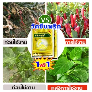 1 แถม 1 2แถม 2ครั้งเห็นผล ป้องกันโรคพริกเน่า ยาป้องกันโรคพืช ต่างๆ โรคสนิม โรคราน้ำค้าง ยาฉีดพริกเน่า กำจัดโรคเหี่ยวเหล