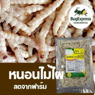 หนอนไม้ไผ่แช่แข็ง (รถด่วน) ไม่ใส่เกลือ ไม่ปรุงรส 950-1000 กรัม ยี่ห้อแมลงส่งด่วน