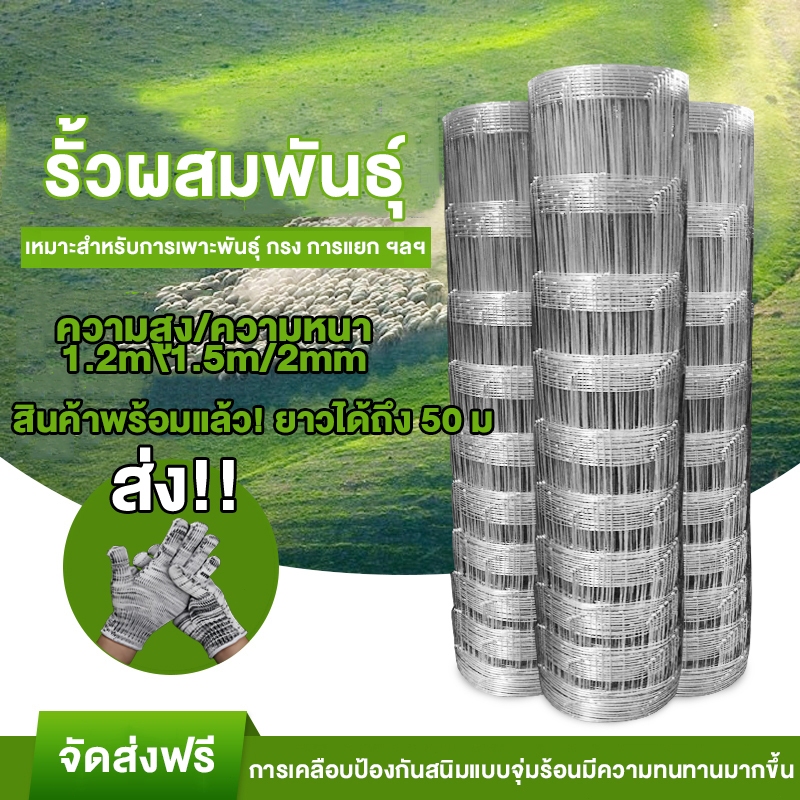 ส่งฟรี!! ลวดตาข่าย ถักปม(ยาว50m) รั้วตาข่ายแรงดึงกึ่งสปริง รั้วลวดตาข่าย รั้วเกษตร ตะข่ายล้อมแพะ/แกะ/วัว ตาข่ายสำเร็จรูป