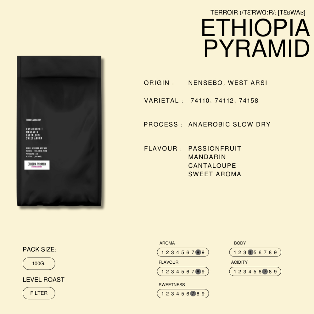 Ethiopia Pyramid | Filter Roast | กาแฟ Blend ขนาด 100g.