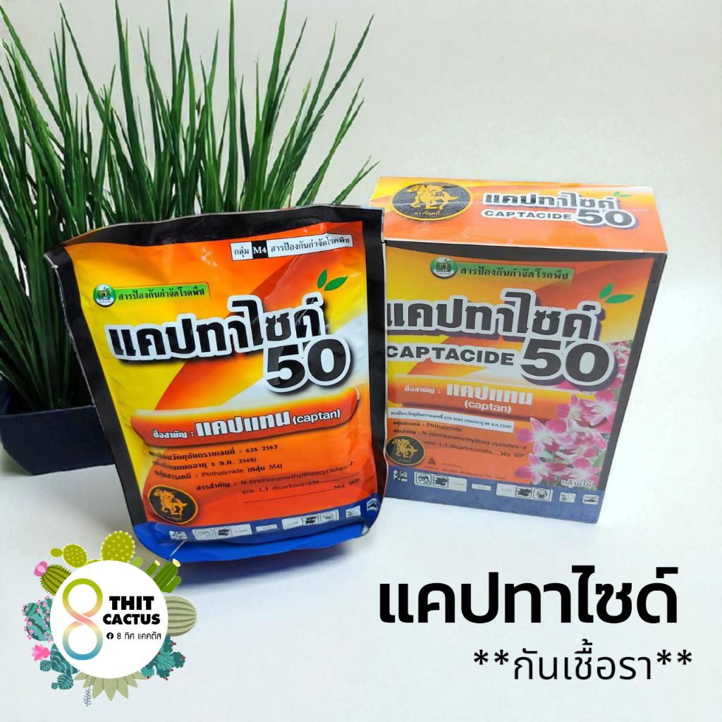 ##++ กันเชื้อรา // แคปแทน // แคปทาไซด์ 100-500 กรัม กันรา แคคตัส กระบองเพชร 500+20