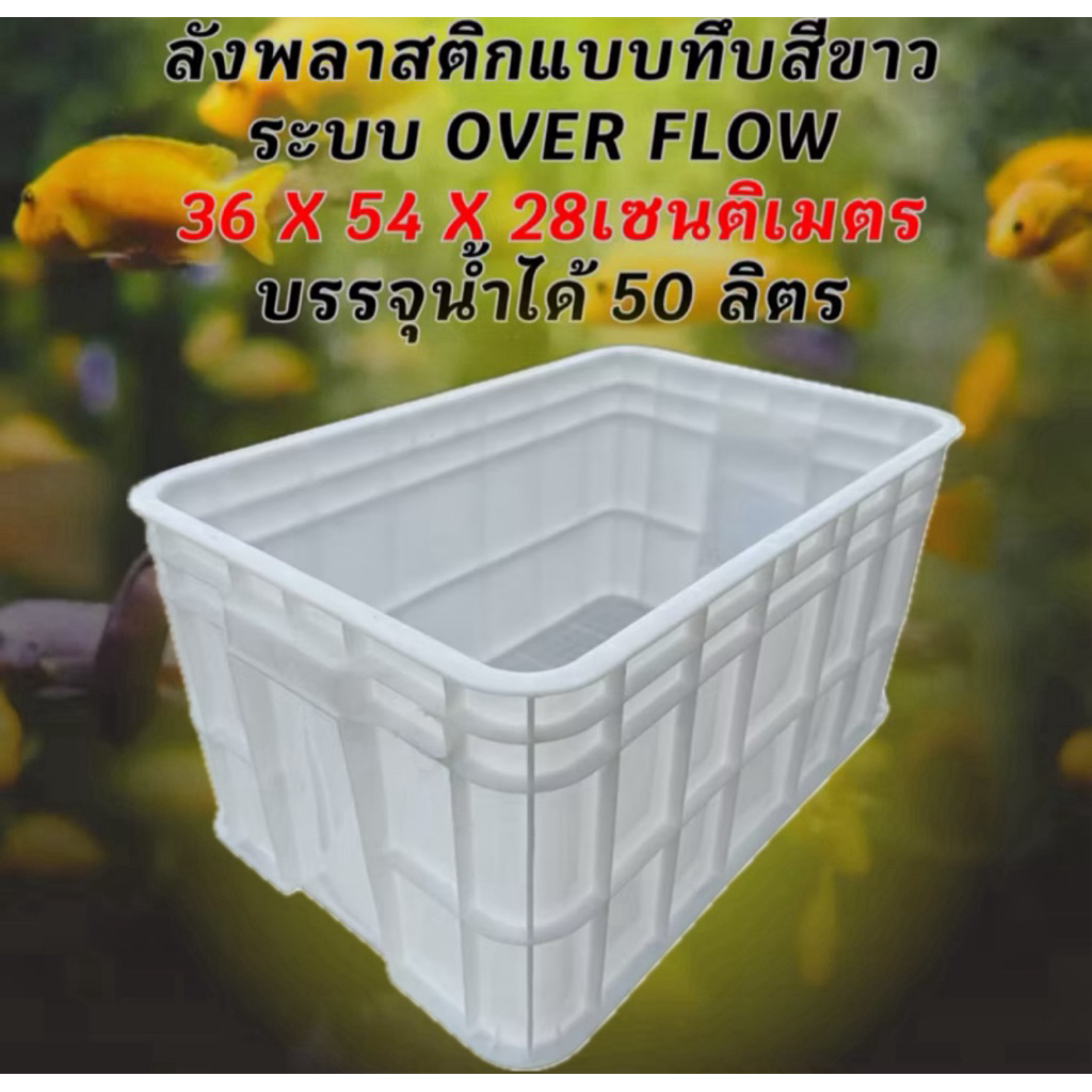 ลังพลาสติกแบบทึบสีขาว ( ลังเปล่า )สำหรับเลี้ยงปลา อ่างเลี้ยงปลา กะบะเลี้ยงปลา อ่างปลาบอลลูน อ่างปลาเมกาดะ อ่างปลา