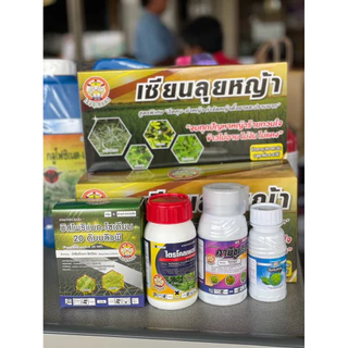 เซียนลุยหญ้า(สารกำจัดวัชพืชในนาข้าว)หญ้าเเก่ กก 1ชุดประกอบด้วย สารบิสไพริแบกกโซเดียม,สารคามิซูเเรม,รันเนอร์,ไตรโคลเพอร์