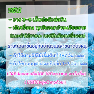 เหยื่อกำจัดหนู (ซากแห้ง) แท้! ล่อหนูดีมาก 1 วัน เริ่มต้นโดยเฉลี่ย (ซากไม่มีกลิ่น) สำเร็จรูป
