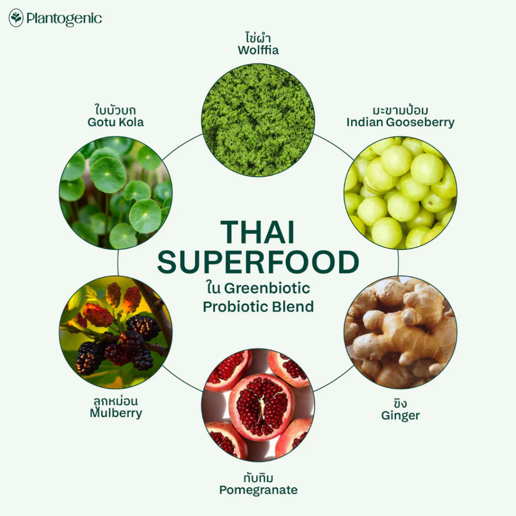 Greenbiotic โพรไบโอติกส์ 7 สายพันธุ์พร้อมไข่ผำและผักผลไม้ 34 ชนิด thumbnail 5