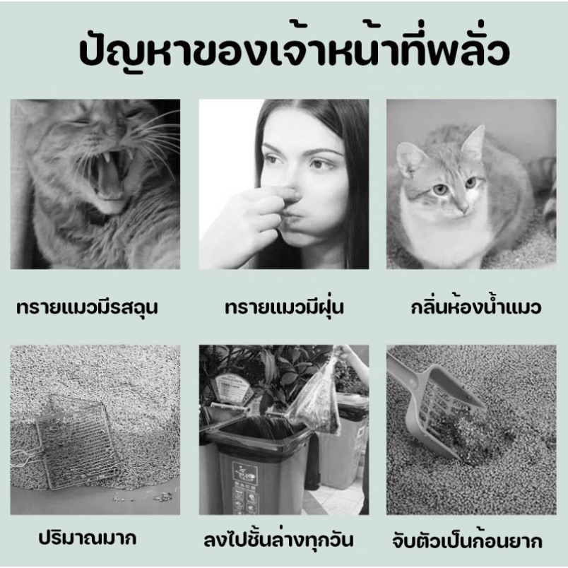 🔥🔥ทรายแมว เบนโทไนท์ทรายแมว ทรายเต้าหู้ออร์แกนิค ผลิตจากกากถั่วเหลืองธรรมชาติ ทรายแมว จับตัวเป็นก้อนเร็ว Cat Litter 10KG - รูปที่ 5