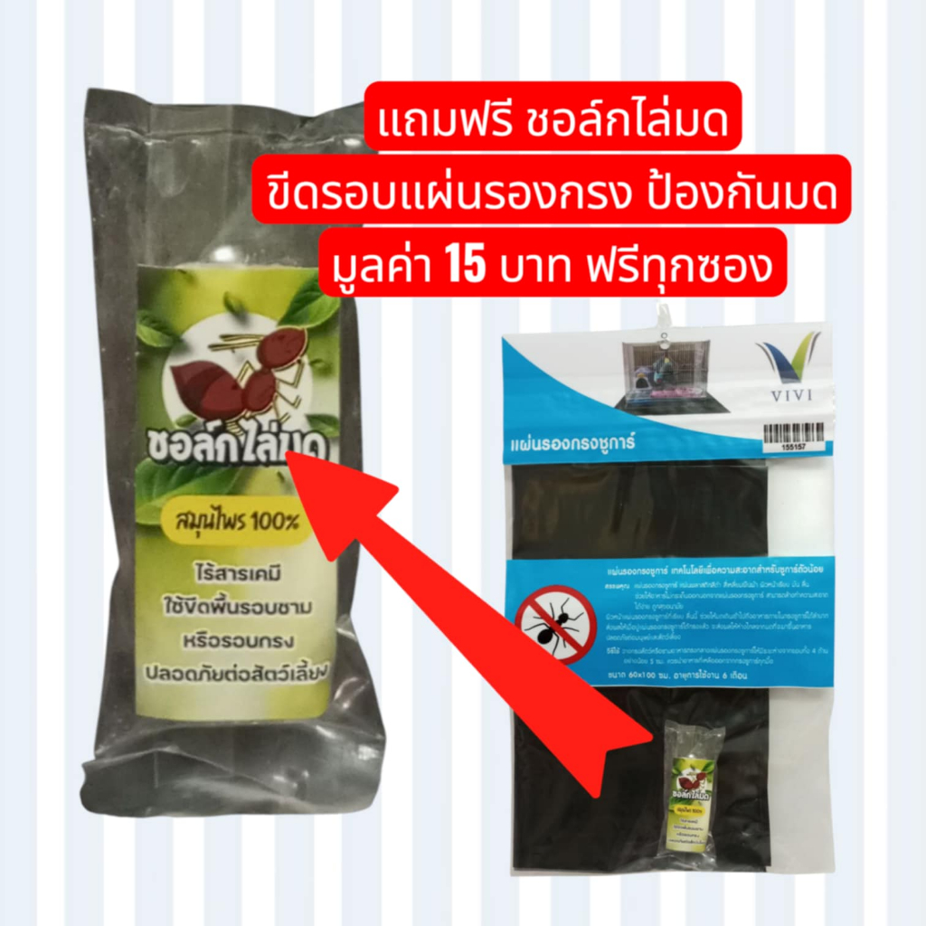 แถมฟรี ชอล์กไล่มด ใช้ขีดพื้นรอบแผ่นกรงกรง เมื่อสั่ง แผ่นรองกรงชูการ์ ปูพื้นรองกรง ป้องกันอาหารกระเด็น ป้องกันมดขึ้น