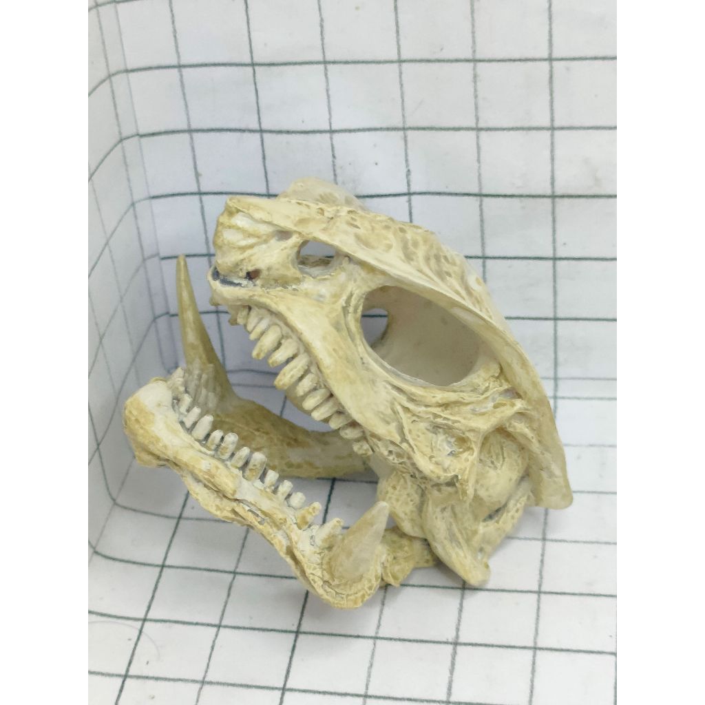IWAKURA  FIGURE SERIES GAMERA ENCYCLOPEDIA SPECIAL EFFECTS VER1.1  " GAMERA HEAD " GAMERA SKULL MINI