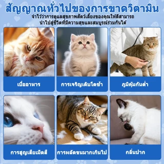 Popoo Multivitamins for Cats Supplements วิตามินแมว บำรุงสะโพกและข้อ ผิวหนังและขน การทำงานของลำไส้ อาหารแมว 120 แคปซูล