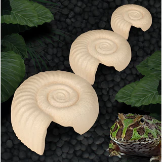 [ส่งด่วน] Nomoy Pet Shell Cave ถ้ำฟอสซิลหอย S/M/L ที่ซ่อนสัตว์เลื้อยคลาน งู ตุ๊กแก กิ้งก่า กบ DSMXO