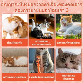 Popoo Omega 3 Fish Oil for Cats น้ํามันปลา บำรุงขน ผิวหนังและข้อต่อ สำหรับสุนัขแลทุกวัย วิตามินแมว 120 แคปซูล