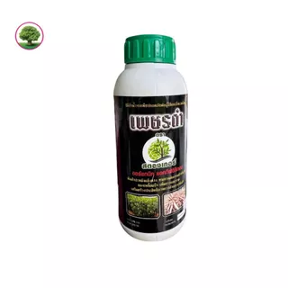 เพชรดำ ฮอร์โมนเร่งราก น้ำยาแช่ท่อนพันธ์มันสำปะหลัง ขนาด 500 ml. ยกลังมี 20 ขวด