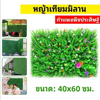 หญ้าเทียม 40x60cm. หญ้าตีนเป็ด หญ้ามิลาน ใบเฟิรน์ ยูคา กำแพงสวนรั้วต้นไม้ปลอม หญ้าติดผนัง ร้านกาแฟ รั้วกำแพง