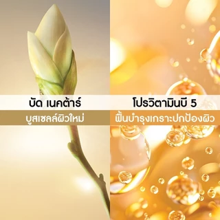 [แพ็คคู่] อีฟ โรเช Yves Rocher Anti-Age Global Bi-Phased Night Recovery Concentrate 30ml + Supra-Essence 30ml