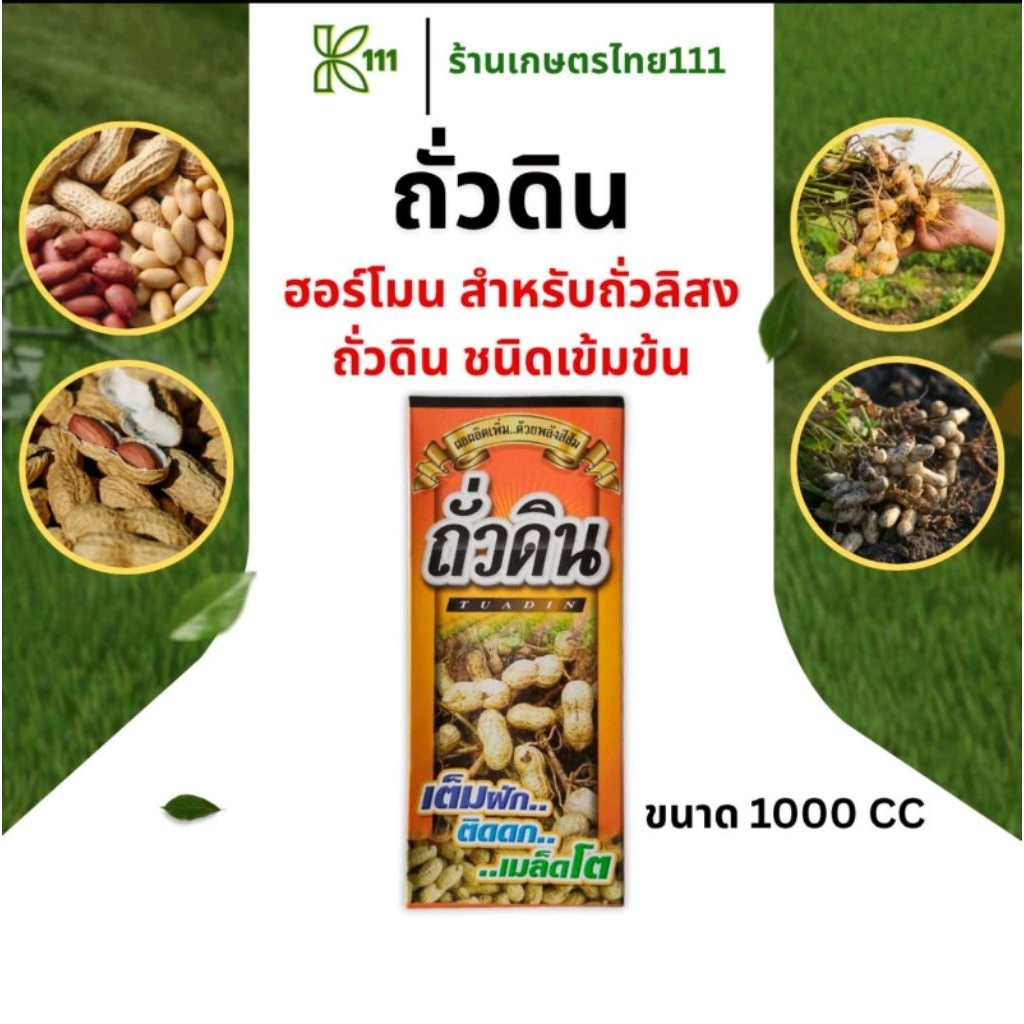 ฮอร์โมน สำหรับถั่วลิสง ถั่วดิน ชนิดเข้มข้น