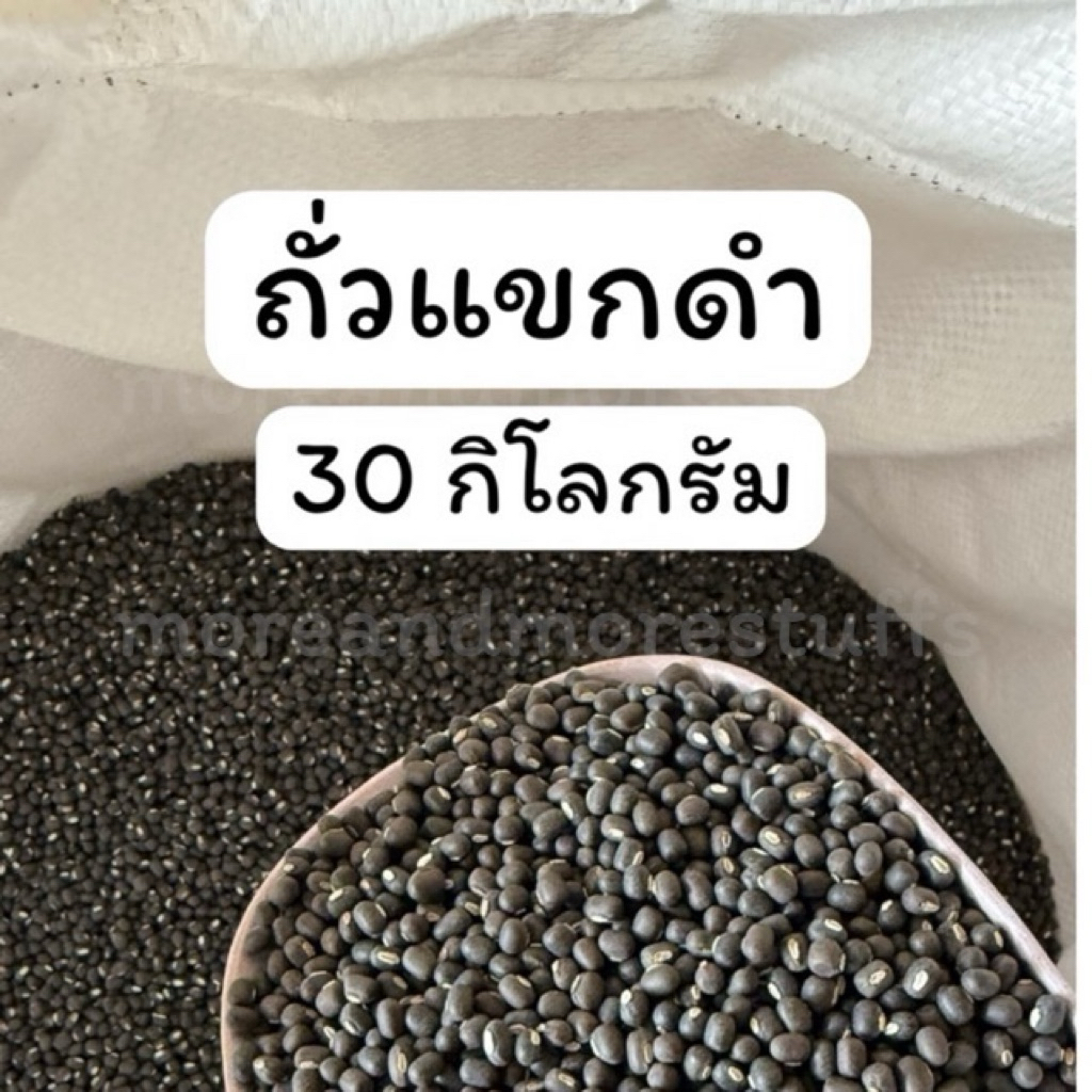 ถั่วแขกดำ ถั่วแขกดำเพาะงอก (30 กิโลกรัม) ถั่วดำ ถั่วเพาะงอก