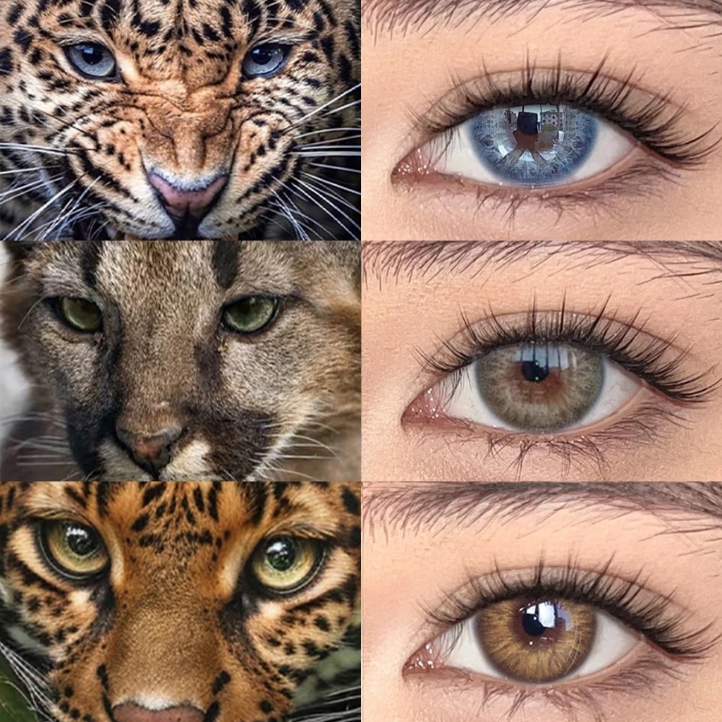 New✨【ซื้อครบ฿60 แถม ตลับ*4！】🔥[0-600°] เลนส์สายฝอ เลนส์แฟชั่นสีชัด OMG&DNA-Brown/Grey-14.0 รายเดือน