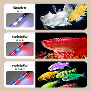 หลอดไฟตู้ปลา RGB T4 LED หลอดตู้กุ้งและสัตว์น้ำ สามารถกันน้ำได้ใ้ช้ใต้น้ำได้ตลอด24ชม. ปรับแสงได้3โหมด