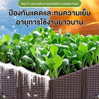 MAYILON กระถางต้นไม้ ปลูกผัก ถาดไดโซะ ปลูกผัก รางปลูกต้นไม้ กระถางราง กระถาง ถาดเพาะ กระบะปลูกผัก ยาว พลาสติกทนแดด