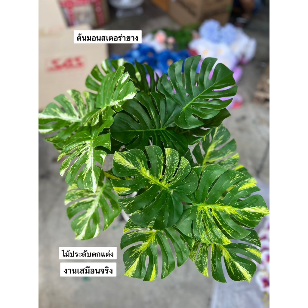 ☘️ต้นไม้ปลอม 🌿ต้นมอนสเตอร่า7ใบงานยาง (ไม่รวมกระถาง)