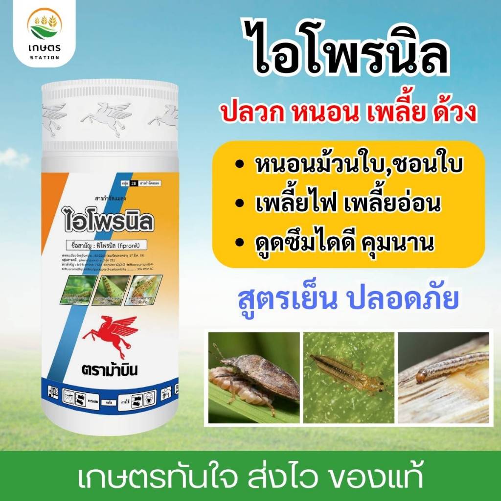 ไอโพรนิล ฟิโพรนิล หนอน เพลี้ย แมลงบิน แมลงปีกแข็ง ปลวก 1ลิตร