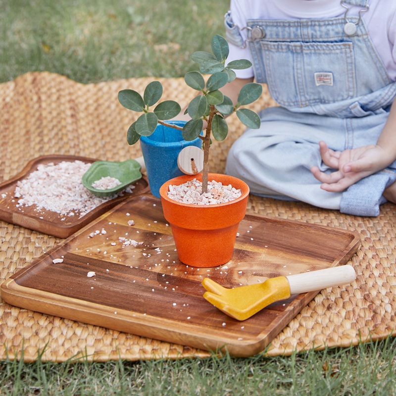 PlanToys ของเล่นไม้ 8622 Gardening Set ชุดทำสวน เสริมพัฒนาการ สำหรับเด็กอายุ 3 ปี ขึ้นไป — صورة 5
