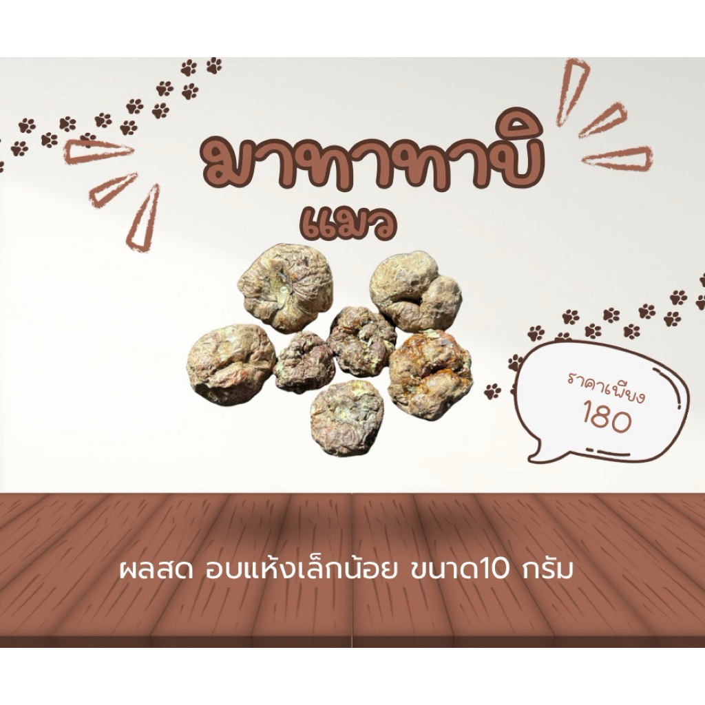 มาทาทาบิ ผลมาทาทาบิ กัญชาแมว