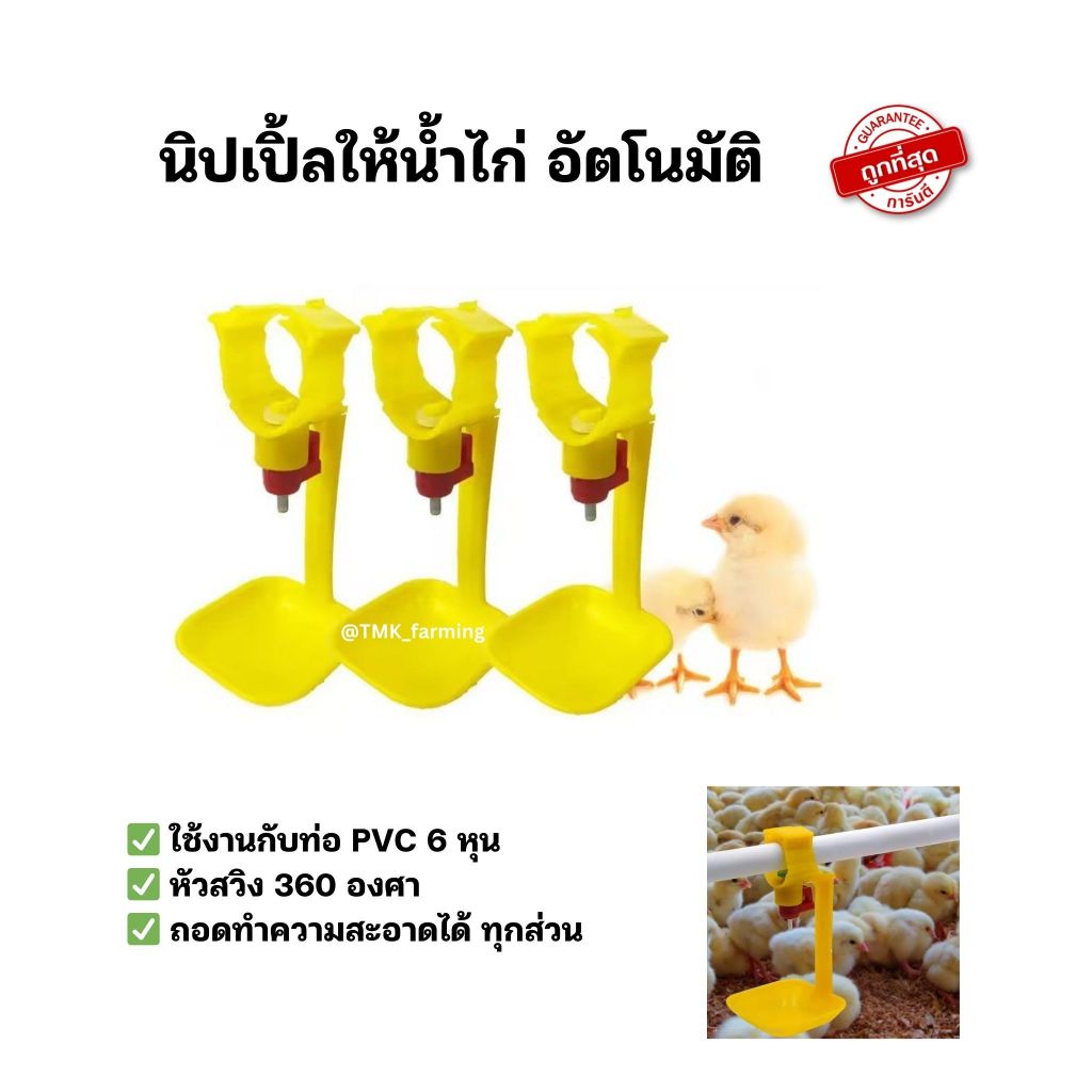 นิปเปิ้ลให้น้ำไก่ นิปเปิ้ลอัตโนมัติ นิปเปิ้ลให้น้ำนกกระทา ที่ให้น้ำอัตโนมัติสำหรับสัตว์ปีก ใช้สำหรับท่อน้ำ 6หุน