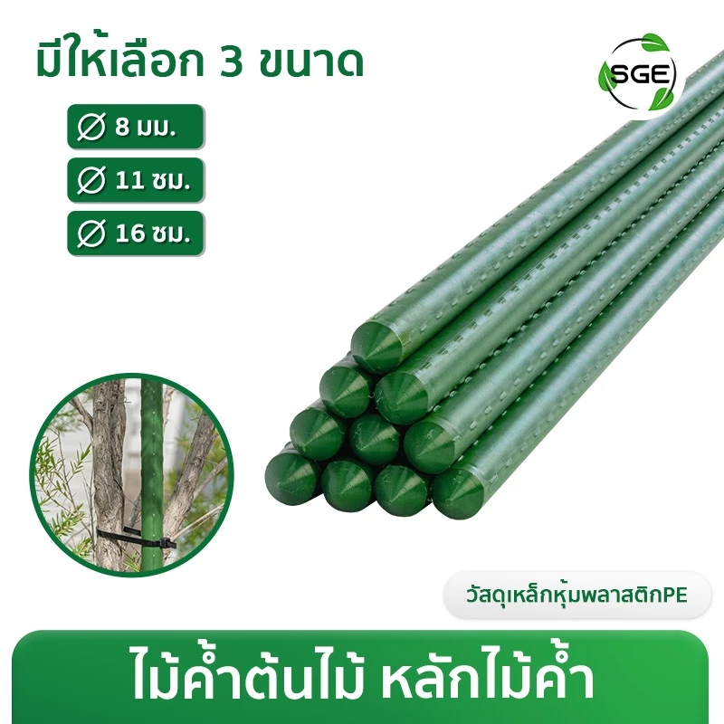 ไม้ค้ำต้นไม้ เสาค้ำต้นไม้ รุ่น GSP สำหรับไม้เลื้อย ค้ำยันต้นไม้ วัสดุแข็งแรงทนทาน เหล็กเคลือบ ถูกสุด