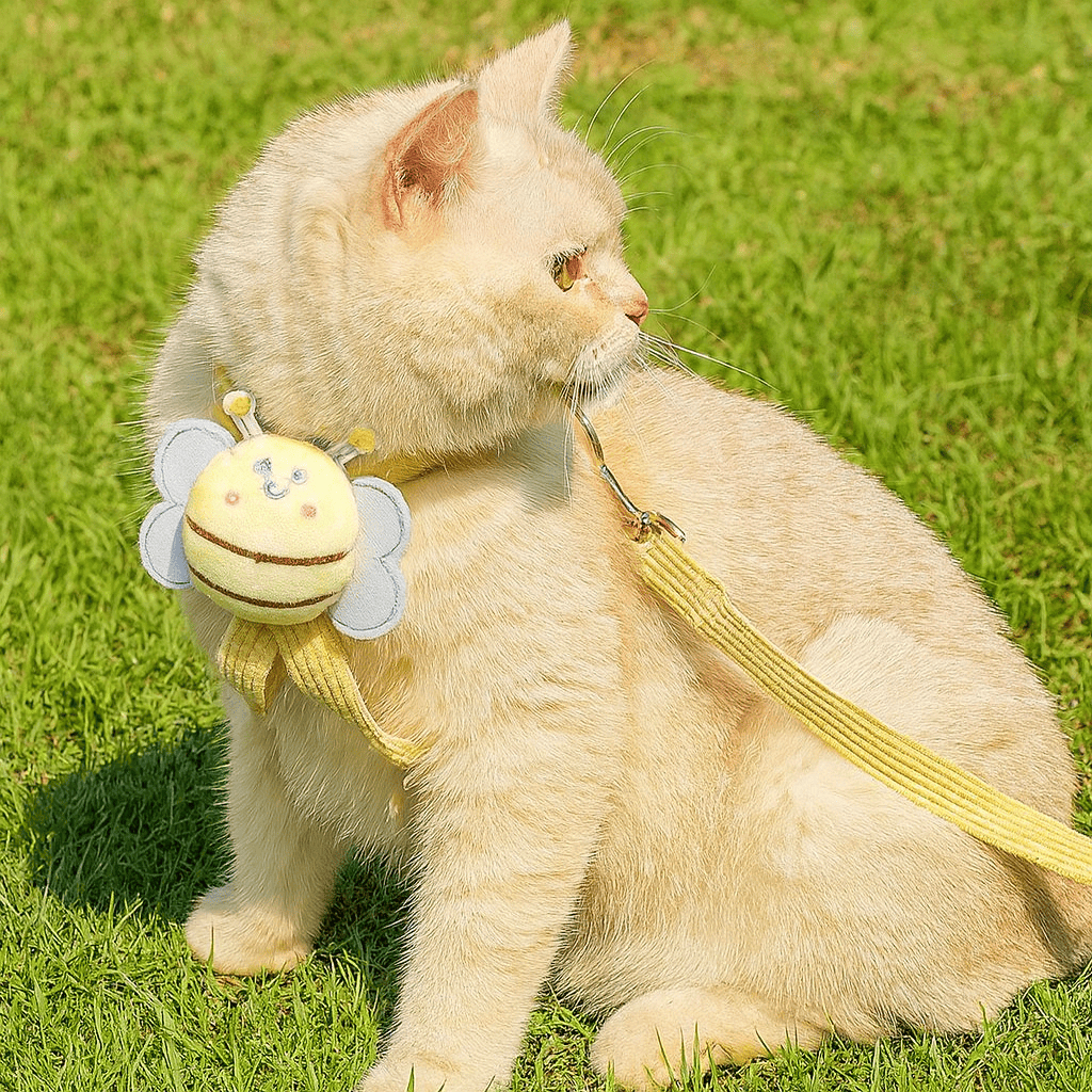 รูปภาพ 9