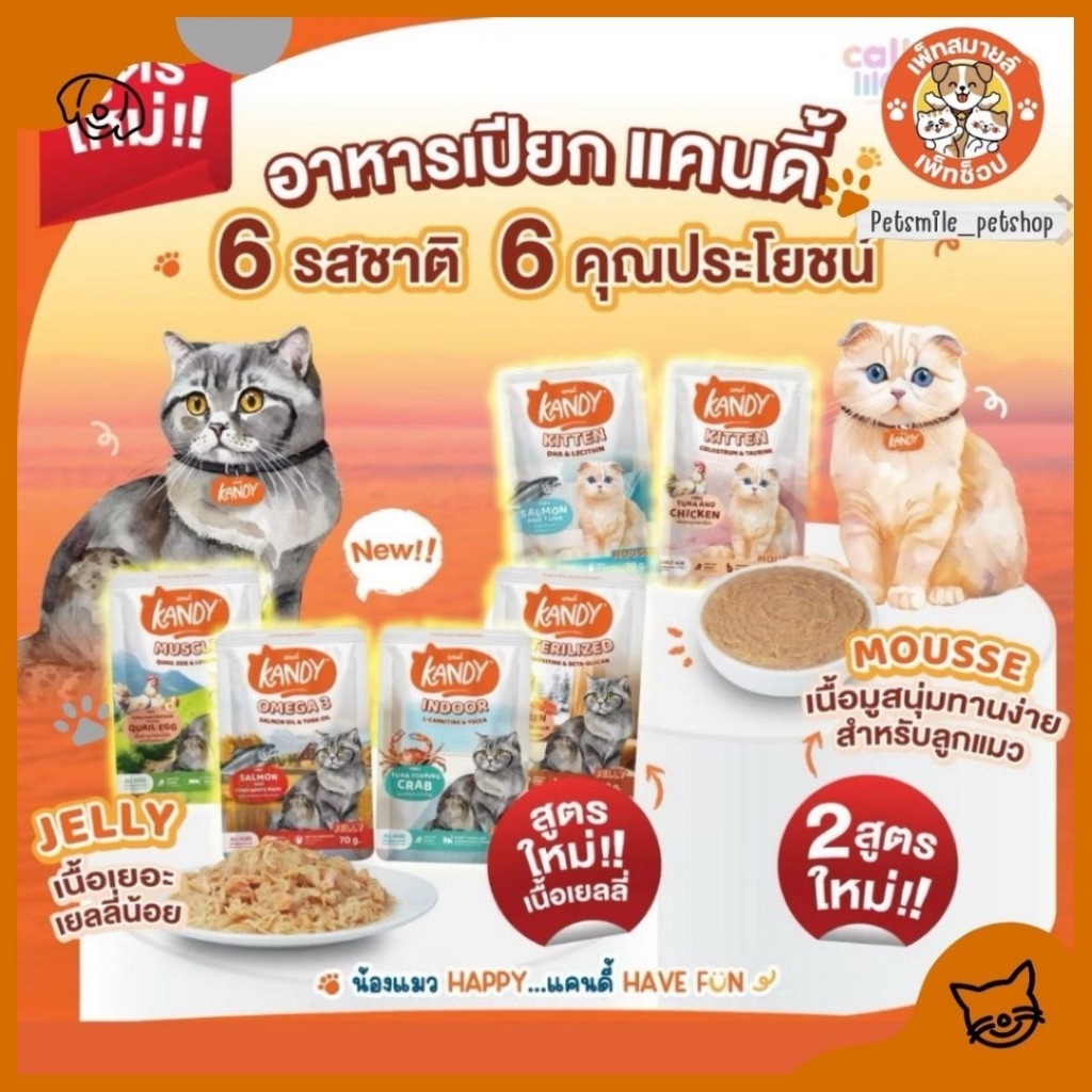 Kandy อาหารเปียกแมวแคนดี้ ไม่เติมเกลือ ขนาด 70 กรัม (ยกโหล 12ซอง)