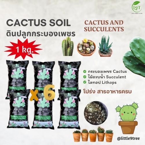ดินแคคตัส (1kg. 6 ถุง) ดินกระบองเพชร แคคตัส ฮาโวเทีย กุหลาบหิน cactus 35THB (1kg. =  6) VDO